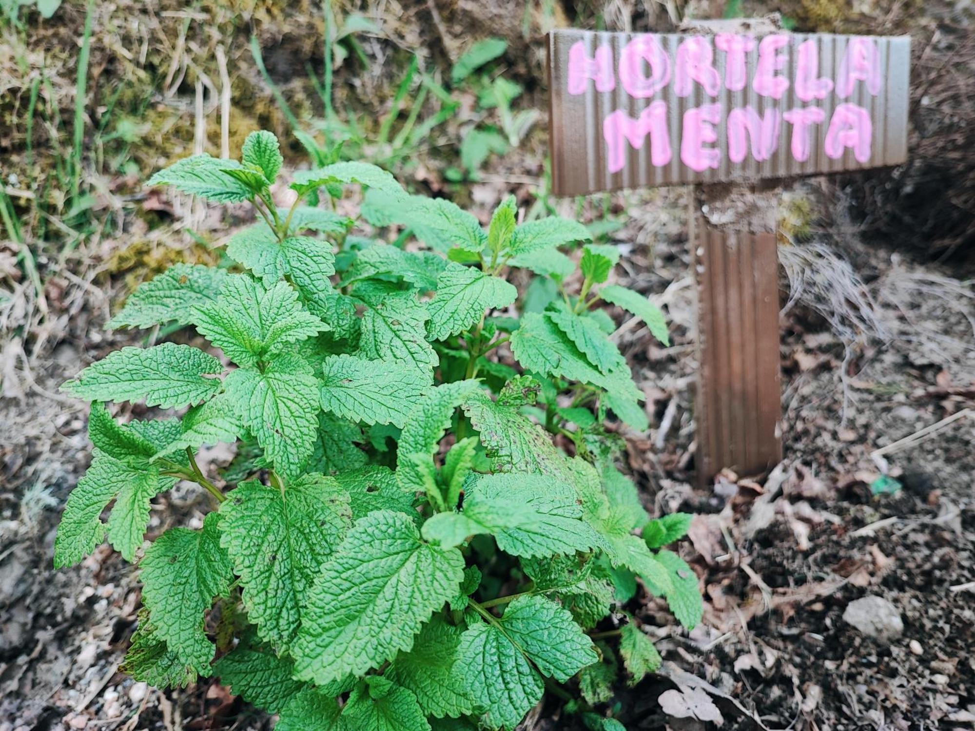 Moinhos Do Poco Verde - Nova Gestao Castro Laboreiro Buitenkant foto
